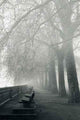 Fog Wall Decal