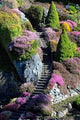 Butchart Gardens Wall Decal