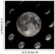 moon phases Wall Mural