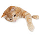 Red Cat White Board