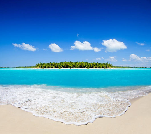 Sea