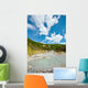 Wall Mural