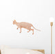 Sphynx Hairless Cat Isolated on White Wall Decal