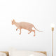 Sphynx Hairless Cat Isolated on White Wall Decal