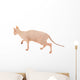 Sphynx Hairless Cat Isolated on White Wall Decal