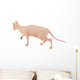 Sphynx Hairless Cat Isolated on White Wall Decal