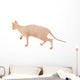 Sphynx Hairless Cat Isolated on White Wall Decal