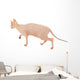 Sphynx Hairless Cat Isolated on White Wall Decal