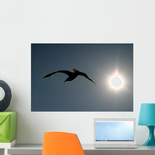 Bird Silhouette Wall Mural