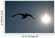 Bird Silhouette Wall Mural