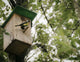 Birdhouse with bird Wall Mural