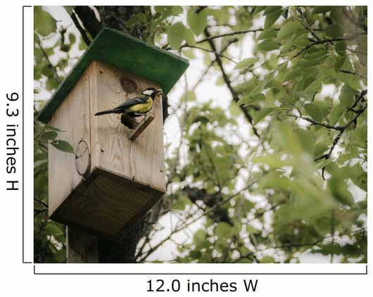 Birdhouse with bird Wall Mural