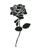 Schwarze Rose