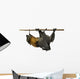 Fruit bat (flying fox) upside down on white background. Wall Decal