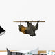 Fruit bat (flying fox) upside down on white background. Wall Decal