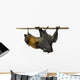Fruit bat (flying fox) upside down on white background. Wall Decal