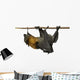 Fruit bat (flying fox) upside down on white background. Wall Decal