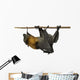 Fruit bat (flying fox) upside down on white background. Wall Decal