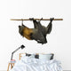Fruit bat (flying fox) upside down on white background. Wall Decal