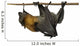 Fruit bat (flying fox) upside down on white background. Wall Decal