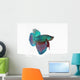 Figthing Fish Betta