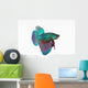Figthing Fish Betta