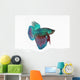 Figthing Fish Betta