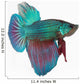 Figthing Fish Betta