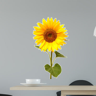 Sunflower shown on a wall