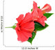 Postcard from Hibiscus Flowers