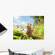 Child Lying Meadow Relaxing Wall Decal