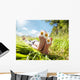 Child Lying Meadow Relaxing Wall Decal