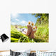 Child Lying Meadow Relaxing Wall Decal