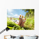 Child Lying Meadow Relaxing Wall Decal