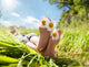 Child Lying Meadow Relaxing Wall Decal