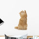 Cute Red Cat Stretches Her Paws Wall Decal