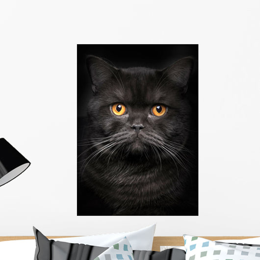 Portrait Black Cat Wall Decal