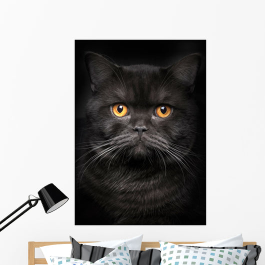 Portrait Black Cat Wall Decal