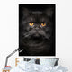 Portrait Black Cat Wall Decal