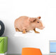 Skinny Guinea Pig Looking Away. Isolated on White Background Wall Decal