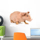 Skinny Guinea Pig Looking Away. Isolated on White Background Wall Decal