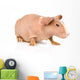 Skinny Guinea Pig Looking Away. Isolated on White Background Wall Decal