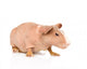 Skinny Guinea Pig Looking Away. Isolated on White Background Wall Decal