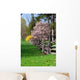 spring landscape Wall Mural