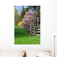 spring landscape Wall Mural