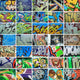 Graffiti, walls are painted colors, background, street culture Wall Mural
