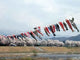 Flying Carps Mountains Valley Wall Decal