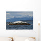 Island with Birds Beagle Wall Decal