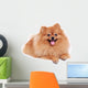 Pomeranian Dog Cute Pet Wall Decal