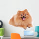 Pomeranian Dog Cute Pet Wall Decal